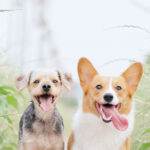 blog-6