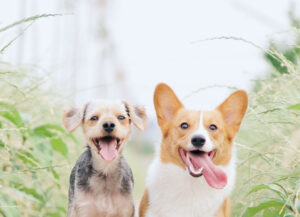 blog-6