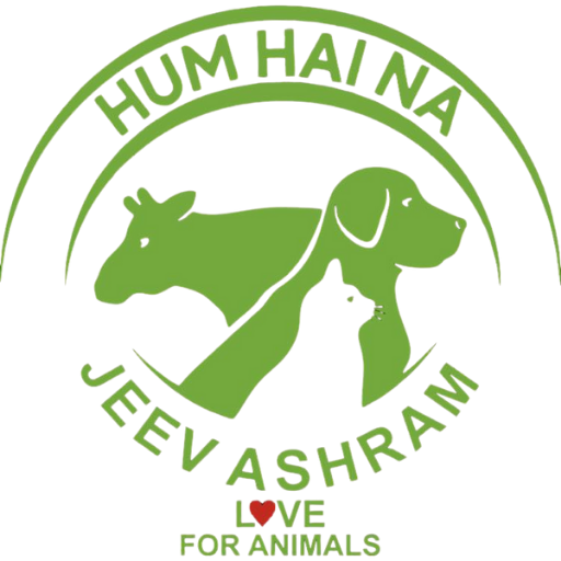 Hum Hai Na Jeev Ashram Gwalior